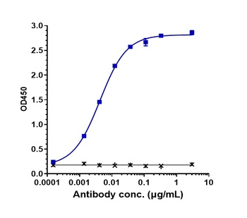 Anti-Complement C2 Reference Antibody (ARGX-117)