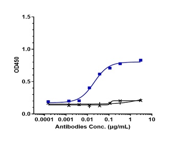 Anti-CALCRL / CGRPR Reference Antibody (erenumab)
