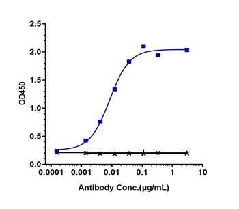 Anti-TNFRSF13C / BAFFR / CD268 Reference Antibody (ianalumab)