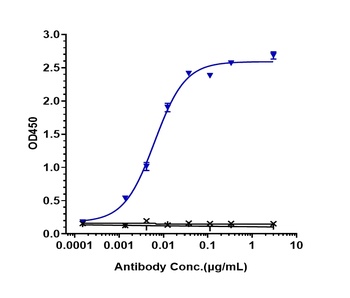 Anti-MASP2 Reference Antibody (narsoplimab)