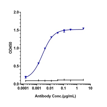 Anti-IL-2Ra / CD25 Reference Antibody (daclizumab)