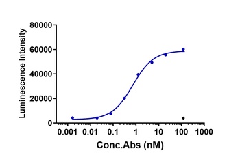 Anti-CLDN6 Reference Antibody (IMAB027)