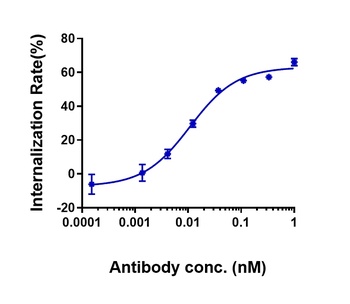 Anti-CLDN6 Reference Antibody (IMAB027)