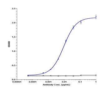 Anti-TNFRSF5 / CD40 Reference Antibody (dacetuzumab)