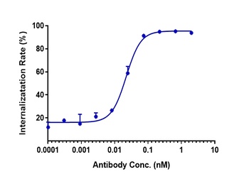 Anti-CDH6 / K-Cadherin Reference Antibody (HKT288)