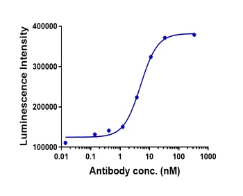Anti-TIGIT Reference Antibody (tiragolumab)