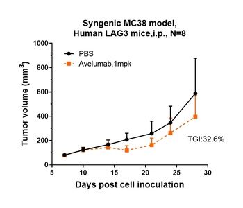 Anti-B7-H1 / PD-L1 / CD274 Reference Antibody (avelumab)