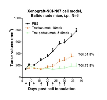 Anti-ERBB2 / HER2 / CD340 Reference Antibody (pertuzumab)