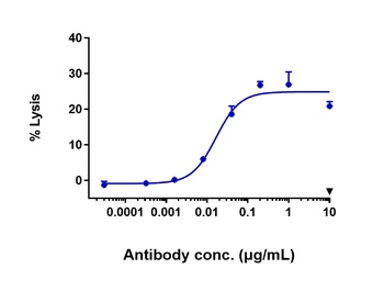 Anti-FGFR2 / CD332 Reference Antibody (bemarituzumab)