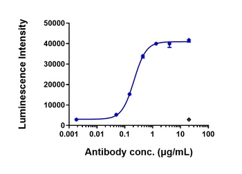 Anti-FGFR2 / CD332 Reference Antibody (bemarituzumab)