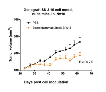 Anti-FGFR2 / CD332 Reference Antibody (bemarituzumab)