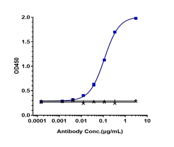 Anti-TNFRSF10B / TRAILR2 / CD262 Reference Antibody (conatumumab)