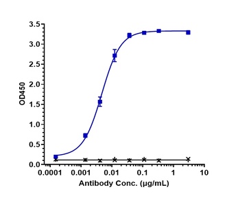 Anti-TSPAN26 / CD37 Reference Antibody (naratuximab)
