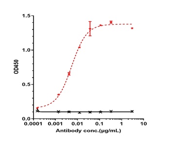 Anti-CD20 Reference Antibody (obinutuzumab)