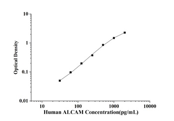 Human Activated Leukocyte Cell Adhesion Molecule (ALCAM) ELISA Kit
