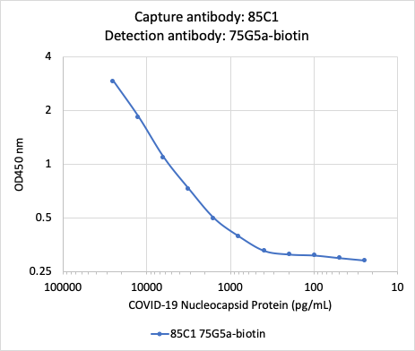 SARS-CoV-2 NP (85C1) rabbit mAb