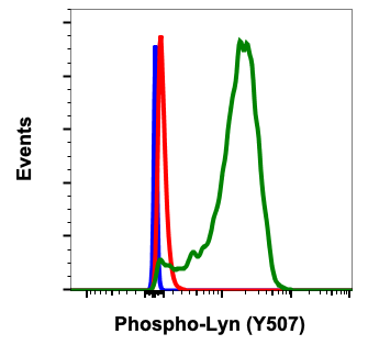 Phospho-Lyn (Tyr507) (5B6) rabbit mAb