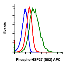 Phospho-HSP27 (Ser82) (CB2) rabbit mAb APC conjugate