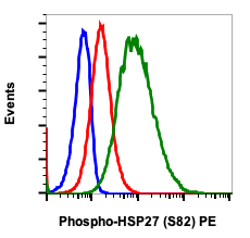 Phospho-HSP27 (Ser82) (CB2) rabbit mAb PE conjugate