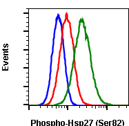 Phospho-HSP27 (Ser82) (CB2) rabbit mAb