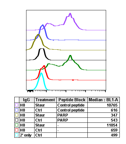 Cleaved PARP (Asp214) (H8) rabbit mAb