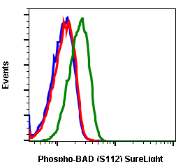 Phospho-BAD (Ser112) (B9) rabbit mAb SureLight 488 conjugate