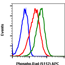 Phospho-BAD (Ser112) (B9) rabbit mAb APC conjugate