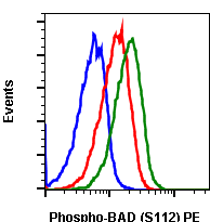 Phospho-BAD (Ser112) (B9) rabbit mAb PE conjugate