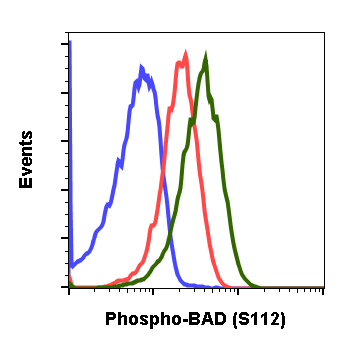Phospho-BAD (Ser112) (B9) rabbit mAb