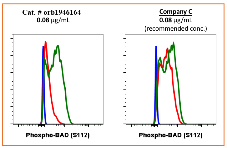 Phospho-BAD (Ser112) (B9) rabbit mAb