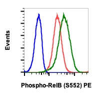 Phospho-RelB (Ser552) (A7) rabbit mAb PE conjugate