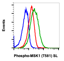 Phospho-MSK1 (Thr581) (A5) rabbit mAb SureLight488 conjugate
