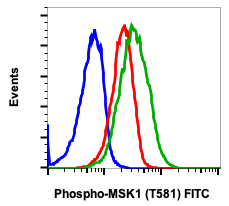 Phospho-MSK1 (Thr581) (A5) rabbit mAb FITC conjugate