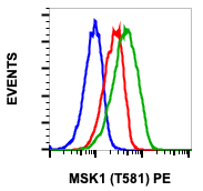 Phospho-MSK1 (Thr581) (A5) rabbit mAb PE conjugate