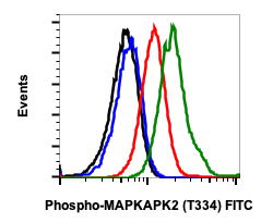 Phospho-MAPKAPK2 (Thr334) (H2) rabbit mAb FITC conjugate
