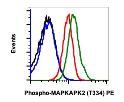 Phospho-MAPKAPK2 (Thr334) (H2) rabbit mAb PE conjugate