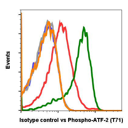 Isotype Control (G9) rabbit mAb