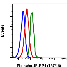 Phospho-4E-BP1 (Thr37/46) (A5) rabbit mAb SureLight 488 conjugate