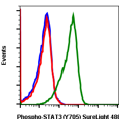 Phospho-Stat3 (Tyr705) (B12) rabbit mAb SureLight488 conjugate