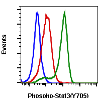 Phospho-Stat3 (Tyr705) (B12) rabbit mAb FITC conjugate