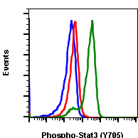 Phospho-Stat3 (Tyr705) (B12) rabbit mAb PE conjugate