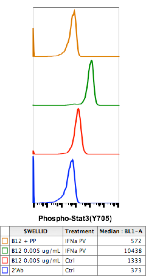 Phospho-Stat3 (Tyr705) (B12) rabbit mAb