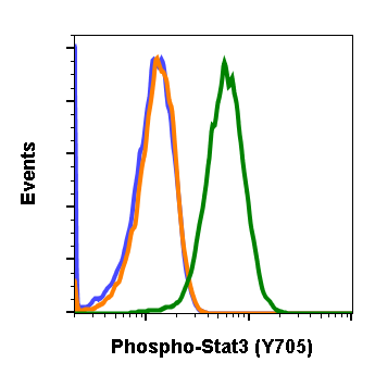 Phospho-Stat3 (Tyr705) (B12) rabbit mAb