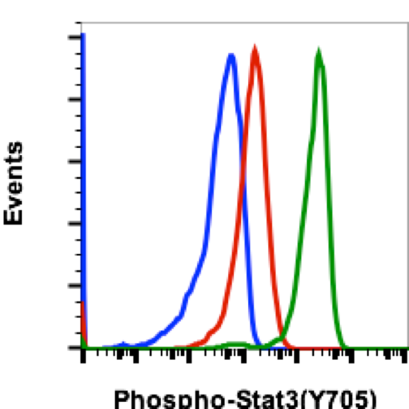 Phospho-Stat3 (Tyr705) (B12) rabbit mAb