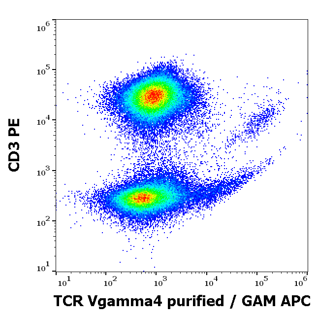 Anti-Hu TCR Vgamma4 Purified