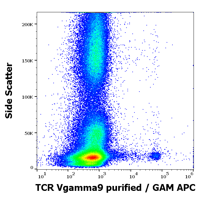 Anti-Hu TCR Vgamma9 Purified