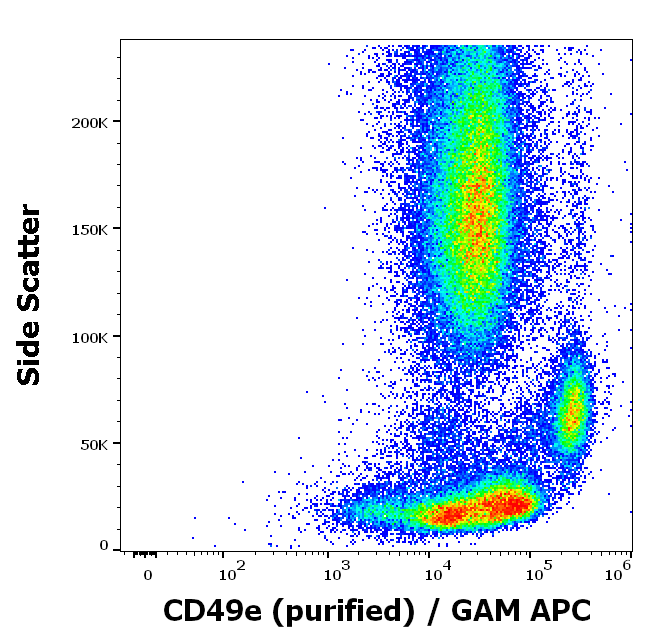 Anti-Hu CD49e Purified