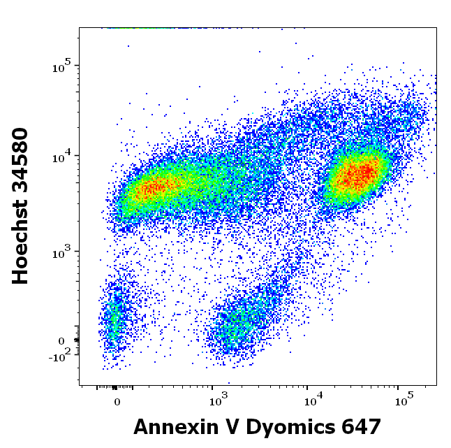 Annexin V Dyomics 647