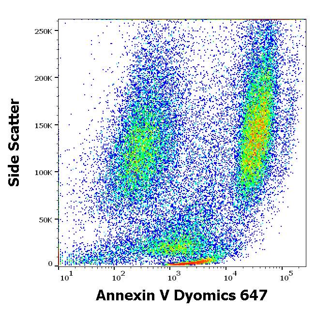Annexin V Dyomics 647