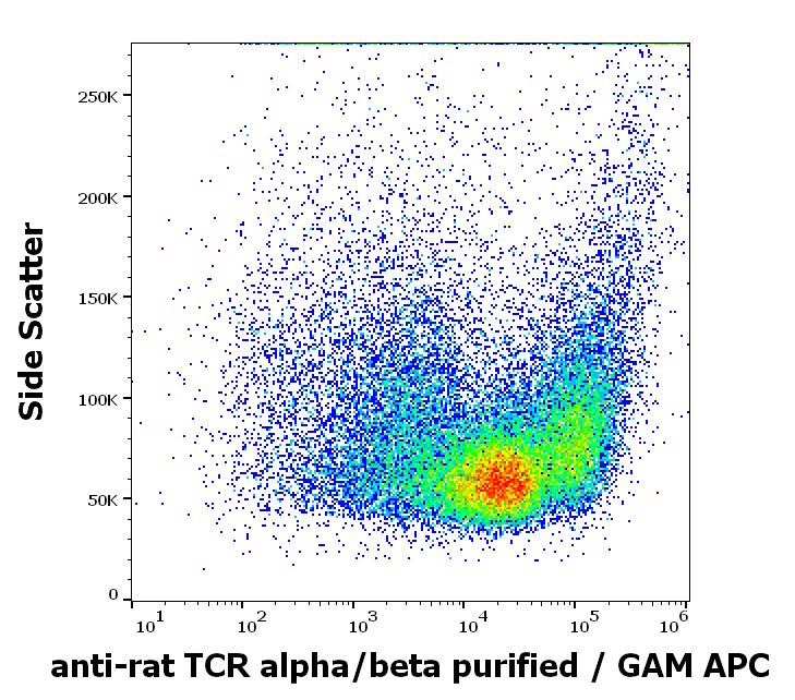 Anti-Rt TCR alpha/beta Purified
